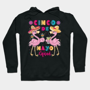 Cinco de Mayo Squad Flamingo Hoodie